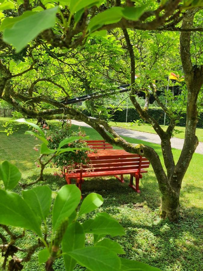 B&B Am Sahrbach Altenahr Bagian luar foto
